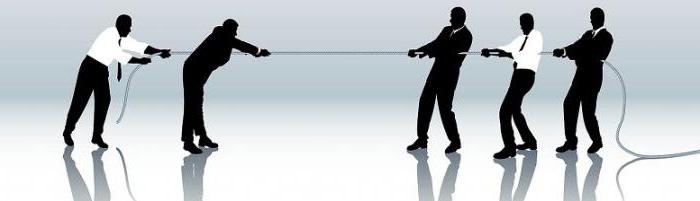 perfect competition model