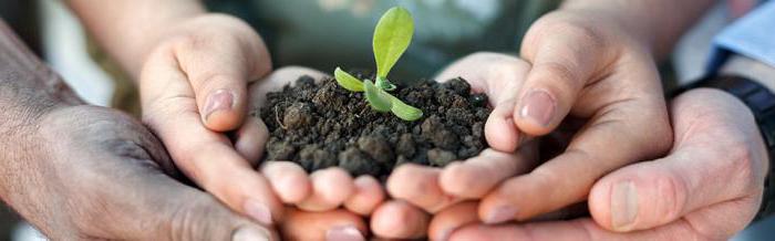 federal law on non-profit organizations