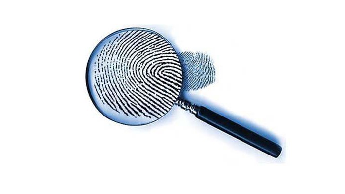 investigator post requirements