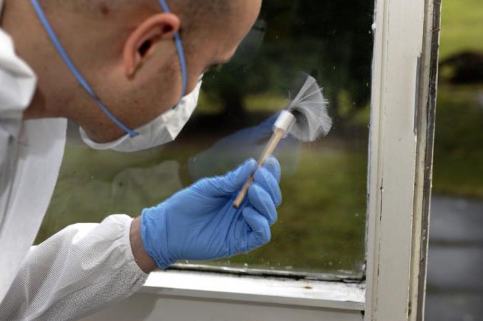 requirements for the position of investigator