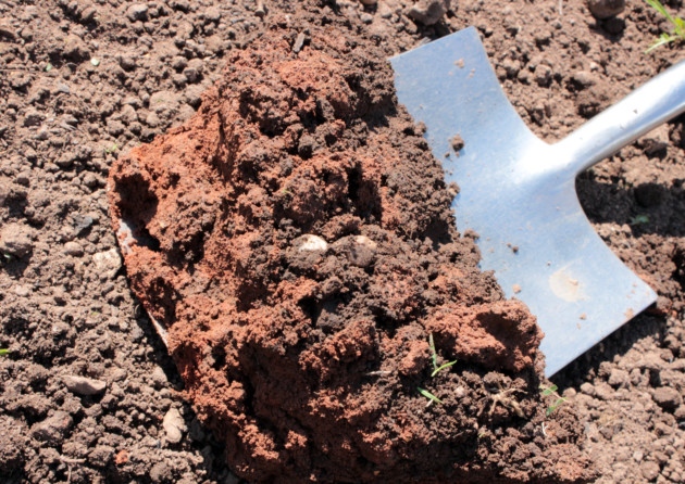 subsoil use department