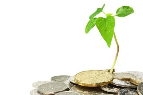 who pays the environmental fee