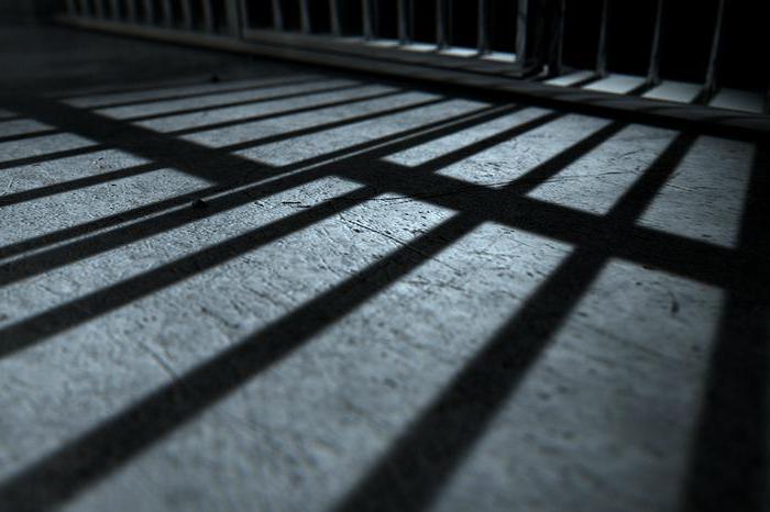 types of sentences in criminal proceedings