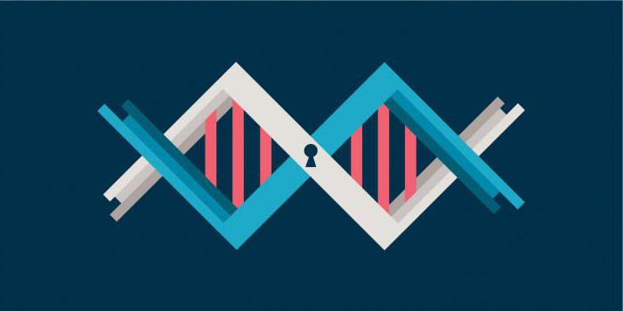 biometric data processing