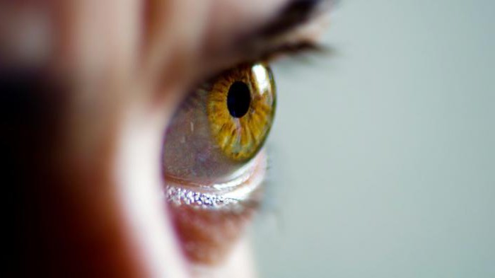 What is human biometric data?