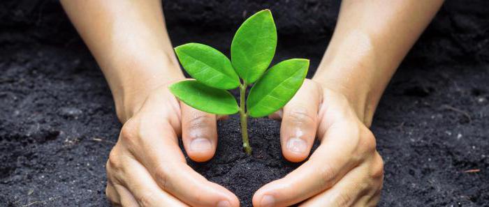 right to a favorable environment