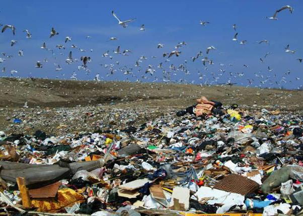 protection of rights to a favorable environment