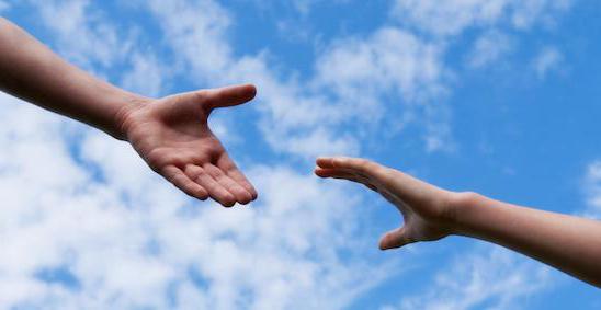 sources of social security law