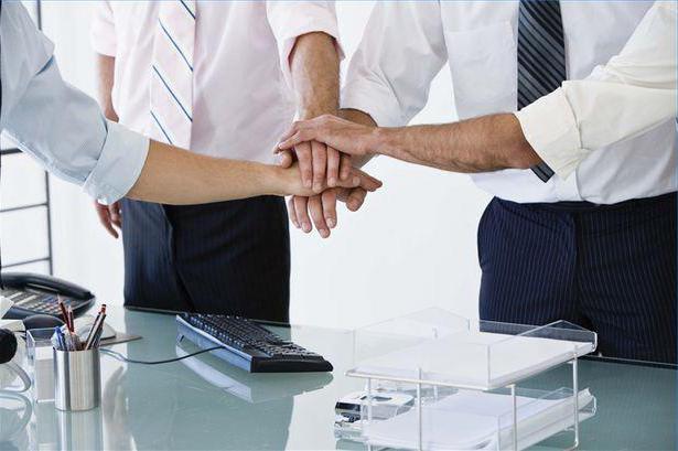 Members of a limited liability company