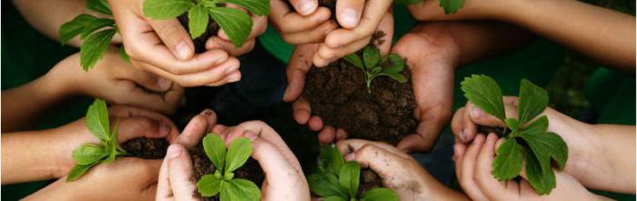 International non-governmental environmental organizations