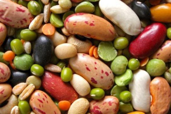 classification of polymers in the form of macromolecules