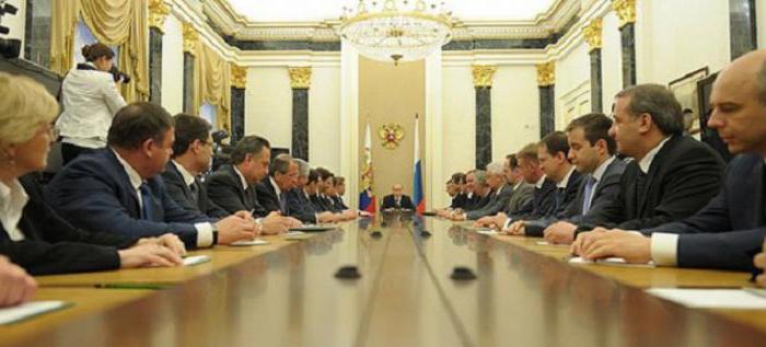 executive government