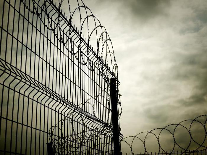 subjects of criminal executive relations