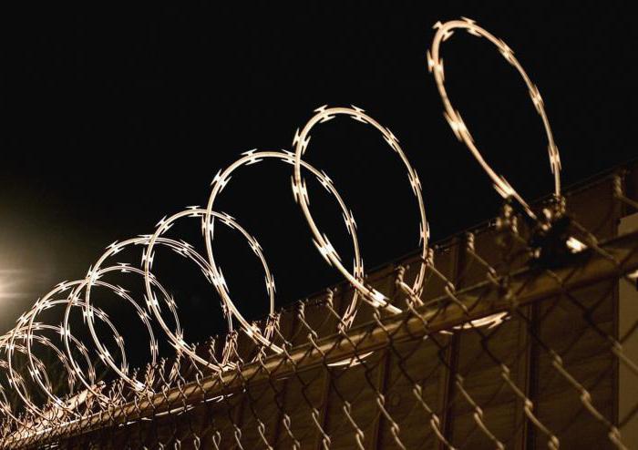 criminally-executive relations from when