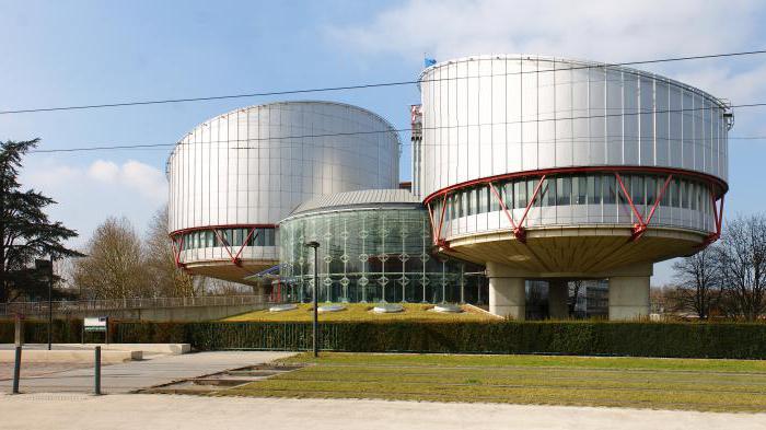 The Hague Court of Human Rights