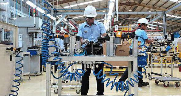 structure and number of employees