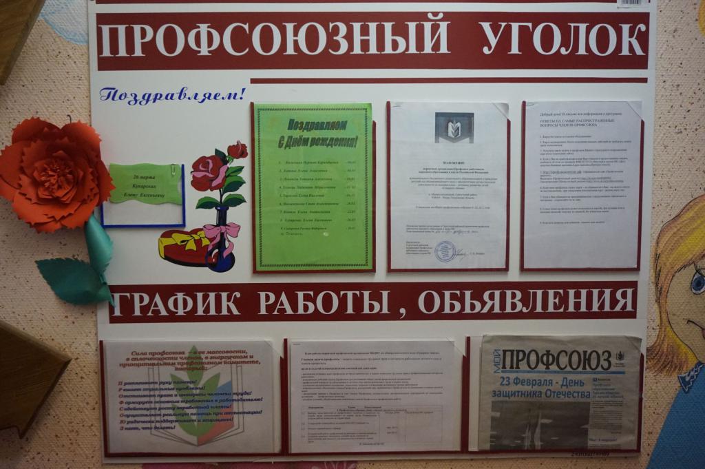 Reports of primary trade union organizations