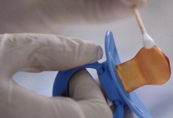 application for paternity