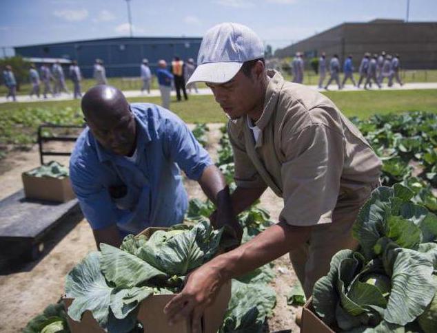 correctional punishment