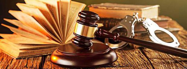 principle of publicity in criminal proceedings