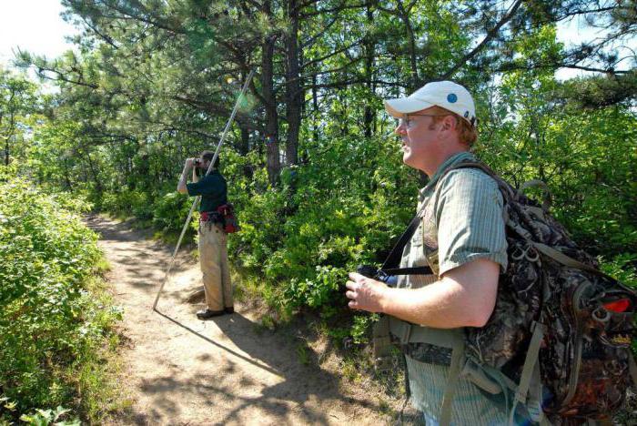 environmental assistant spb