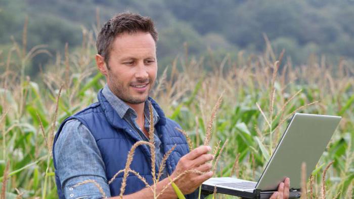 Assistant Environmental Engineer