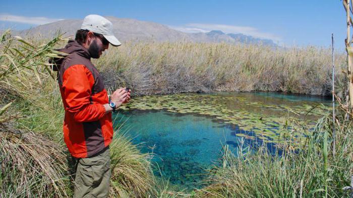 environmental assistant description