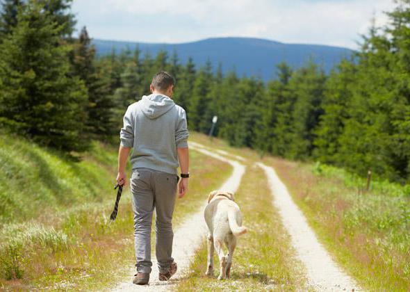 dog walking rules in Moscow