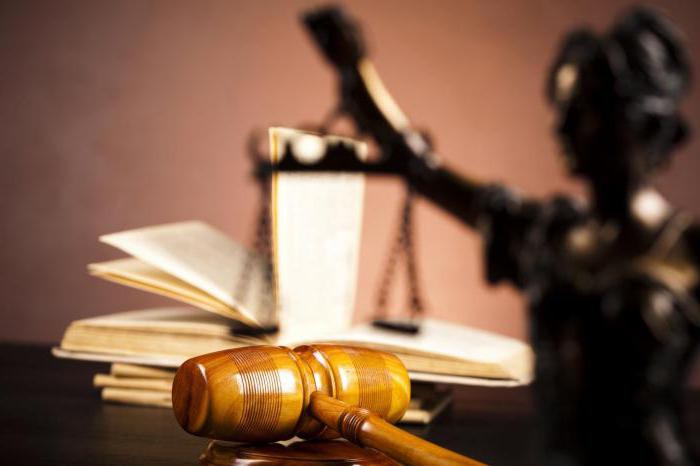 essence of the criminal process criminal procedural functions