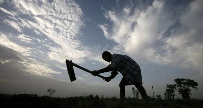 for administrative land offenses an administrative fine is provided as a punishment