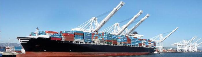 customs authorities in tax matters