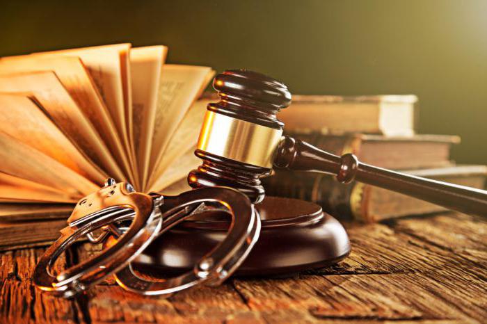 structure of a normative legal act article