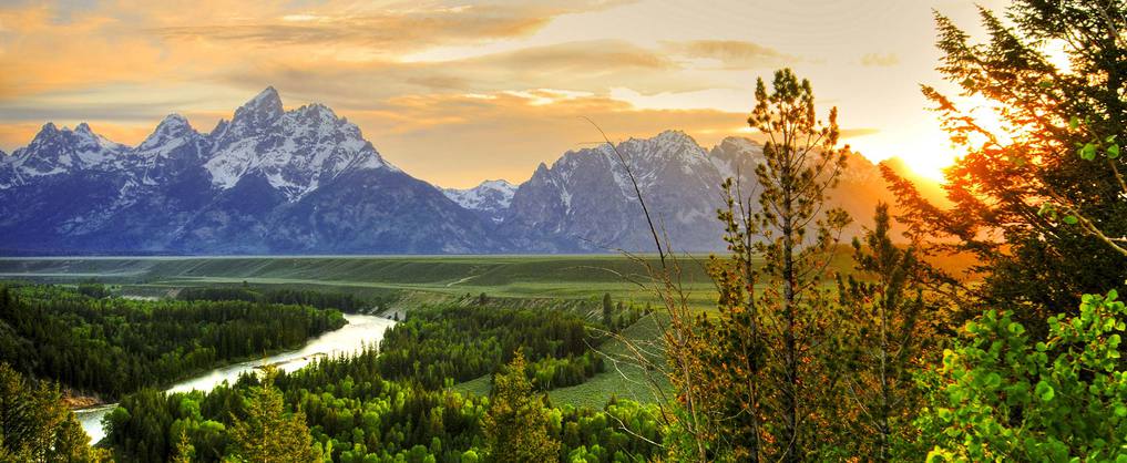 concept, subject and method of land law