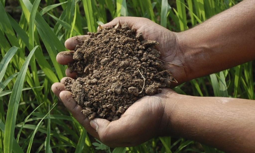 environmental harm today