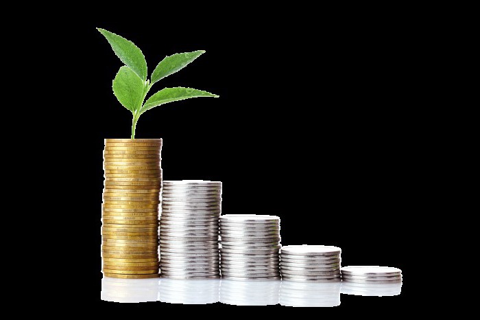 money functions, types of money and their features