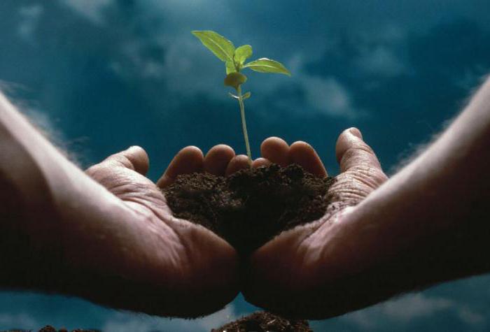 social entrepreneurship: activities