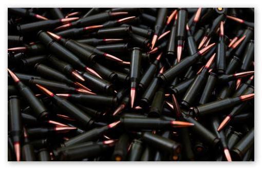 storage rules for smoothbore weapons at home