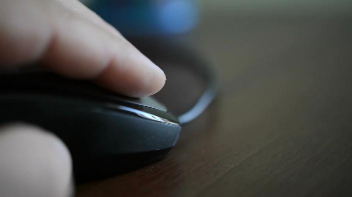 duties of an individual entrepreneur (taxpayer)