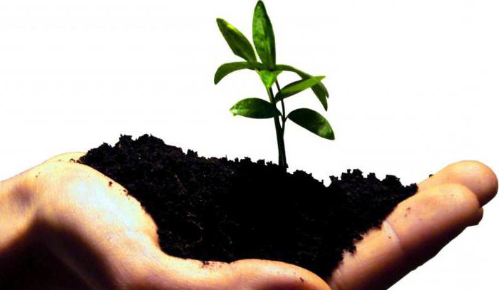 venture investment development fund