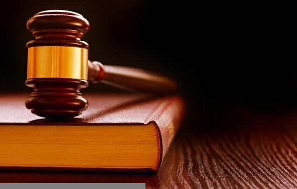 administrative responsibility of officials, legal entities