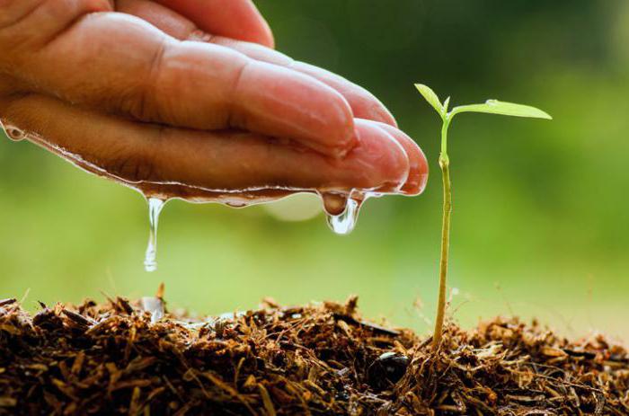 types of agriculture