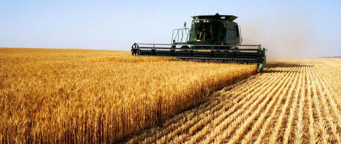 types of agricultural sectors