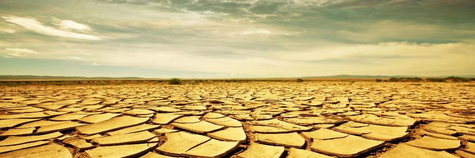 ways of forming new land