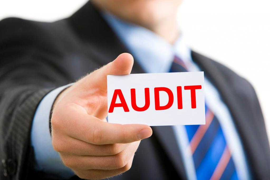 basics of legal regulation of audit activities
