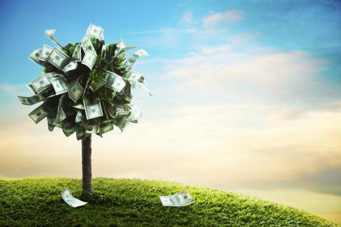 trust portfolio management