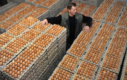 poultry farm profitability