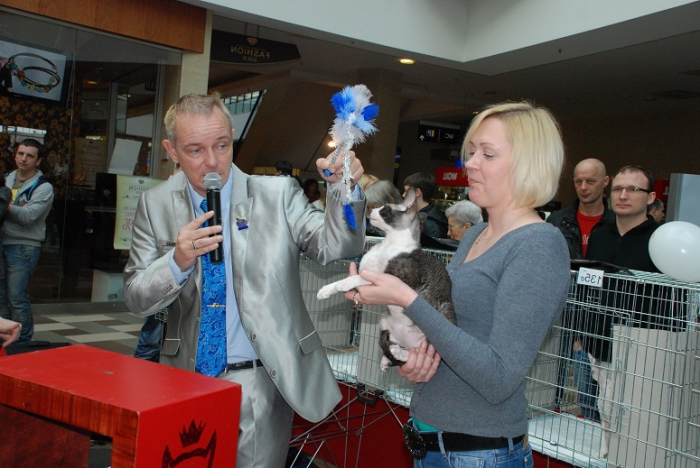 how to open a nursery