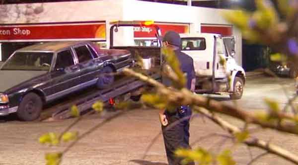 car search by state number