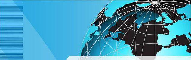 business project description example