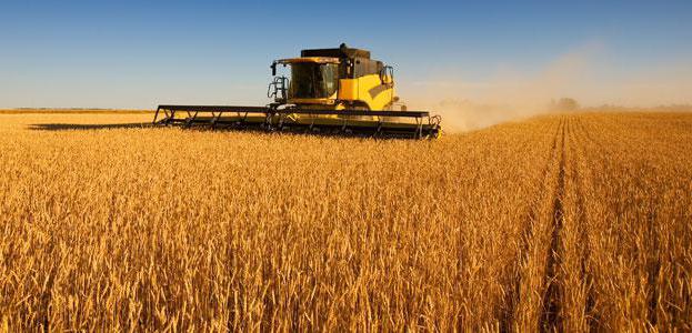 KFH is an individual or legal entity